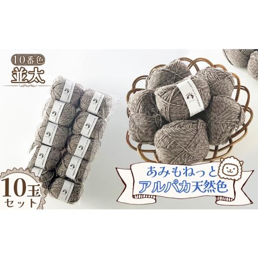 ふるさと納税 手芸 愛知県 江南市 毛糸 あみもねっとアルパカ天然色並太 10番色10玉セット / 毛糸 アルパカ ウール混 編み物 手編み 柔らかい 軽い なめらか …