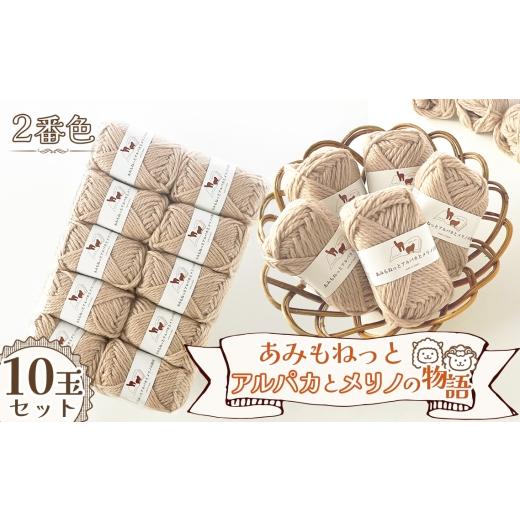 ふるさと納税 手芸 愛知県 江南市 毛糸 あみもねっとアルパカとメリノの物語 2番色10玉セット / 毛糸 超極太 アルパカ メリノウール ベビーアルパカ 編み物 …