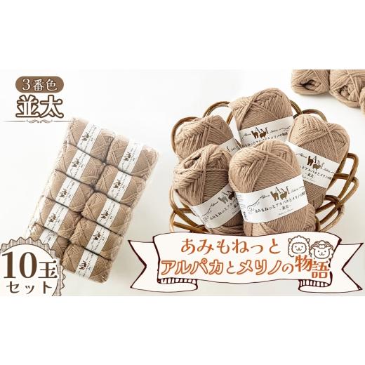 ふるさと納税 手芸 愛知県 江南市 毛糸 あみもねっとアルパカとメリノの物語並太 3番色10玉セット / 毛糸 並太 アルパカ メリノウール 編みやすい やわらかい…