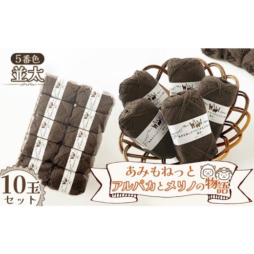 ふるさと納税 手芸 愛知県 江南市 毛糸 あみもねっとアルパカとメリノの物語並太 5番色10玉セット / 毛糸 並太 アルパカ メリノウール 編みやすい やわらかい…