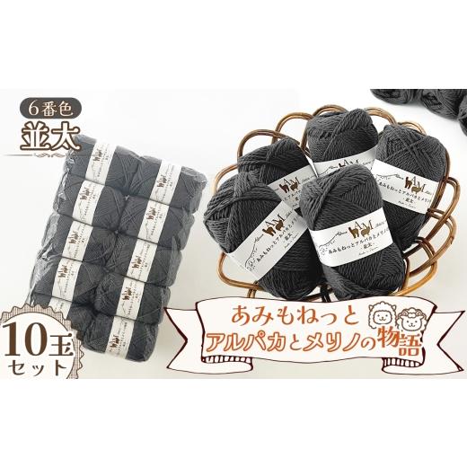ふるさと納税 手芸 愛知県 江南市 毛糸 あみもねっとアルパカとメリノの物語並太 6番色10玉セット / 毛糸 並太 アルパカ メリノウール 編みやすい やわらかい…