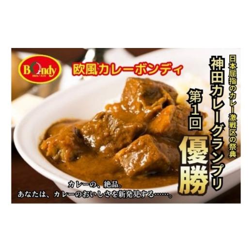 ふるさと納税 牛肉 カレー・シチュー 埼玉県 和光市   神田カレーグランプリ第1回優勝 欧風カレーボンディ パーティセット ・ 5パック 辛口 ビー…