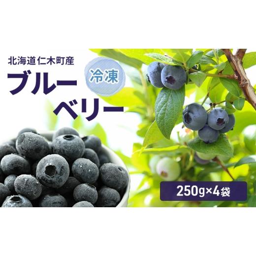 ふるさと納税 果物類 北海道 仁木町 北海道 仁木町産 冷凍 ブルーベリー 250g×4袋 北海道産 国産 ベリー フルーツ 果樹 くだもの 果物 冷凍果実