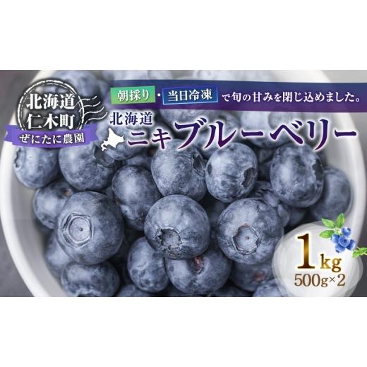 ふるさと納税 果物類 北海道 仁木町 先行予約 朝採り 当日冷凍「北海道ニキブルーベリー」1kg(500g×2)サイズ混載 果物 くだもの 冷凍 フルーツ ブルーベリ…