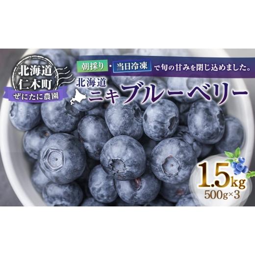 ふるさと納税 果物類 北海道 仁木町 先行予約 朝採り 当日冷凍「北海道ニキブルーベリー」1.5kg(500g×3)サイズ混載 果物 くだもの 冷凍 フルーツ ブルーベ…