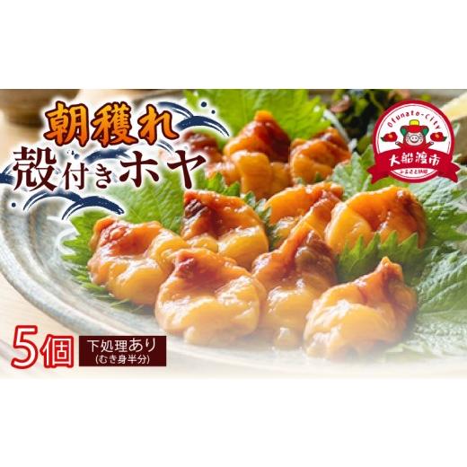 ふるさと納税 魚貝類 岩手県 大船渡市 大船渡産 冷蔵 活ホヤ 5個 下処理あり 産地直送 ほや 海鮮 簡単 すぐ食べれる 大船渡市 下処理あり(むき身にし半分にカ…