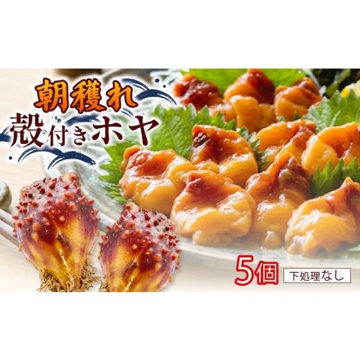 ふるさと納税 魚貝類 岩手県 大船渡市 大船渡産 冷蔵 活ホヤ 5個 下処理なし 産地直送 殻付き ほや 括 海鞘 朝穫れ 新鮮 海産 被災 震災 火災 三陸 沿岸 大船…