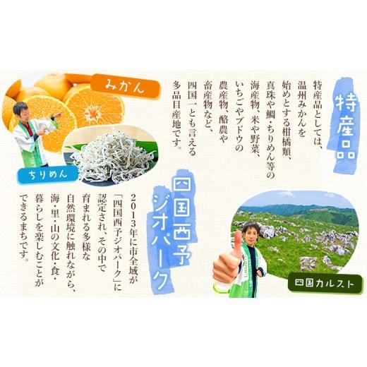 ふるさと納税 醤油 愛媛県 西予市  濃口・うすくち醤油 4本セット 1リットル×各2本 JAS規格品 甘口 こいくち 淡口 薄口 混合 詰め合わせ 刺身 煮つけ 冷奴 ダ…の画像