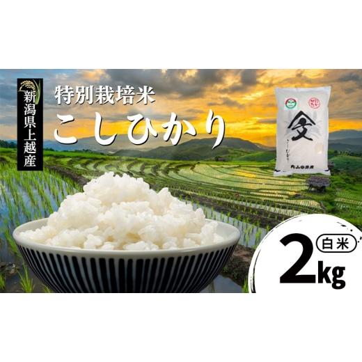 ふるさと納税 米 コシヒカリ 新潟県 上越市 令和7年産 新潟県上越産「 特別栽培米 コシヒカリ 」 白米 2kg 内山農産 こしひかり お米 こめ おすすめ 新潟県産 …