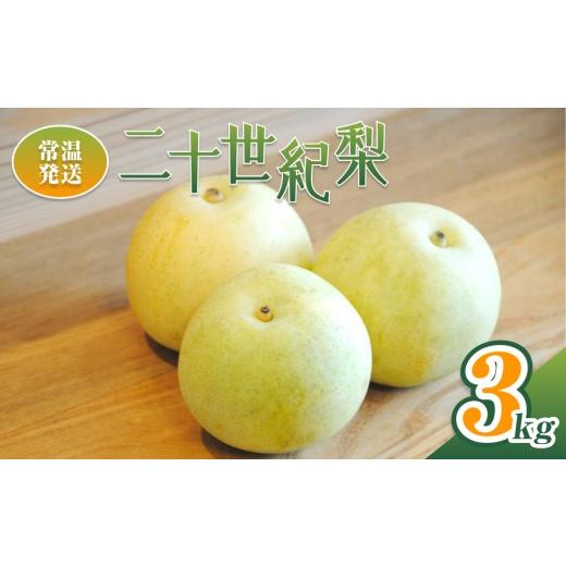 ふるさと納税 梨 鳥取県 岩美町 2026年 先行予約 二十世紀梨 3kg 常温発送|鳥取 井上農園 梨 なし ナシ 青梨 果物 フルーツ 3L 41086