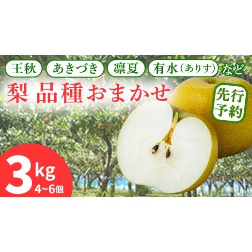 ふるさと納税 梨 茨城県 城里町 先行予約 旬の品種を厳選 梨 品種 おまかせ 4〜6個 ( 約3kg ) 2026年先行予約 農家直送 恵水 王秋 あきあかり あきづき り…