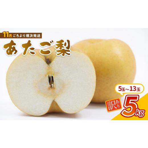 ふるさと納税 梨 鳥取県 岩美町 先行予約 (訳あり)中野農園 梨 "あたご梨" 5kg箱|鳥取 岩美 梨 なし ナシ 赤梨 果物 フルーツ お届けは2026年11月以降 4…