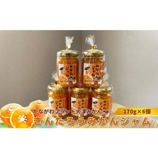ふるさと納税 ジャム みかん 神奈川県 山北町 かながわブランド大津みかん きんたろうみかんジャム 170g×6個 ジャム みかん 神奈川県 山北町
