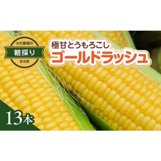 ふるさと納税 とうもろこし 千葉県 多古町 大村農場の朝採り極甘とうもろこしゴールドラッシュ13本(6月下旬から発送)