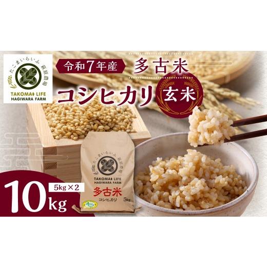 令和7年 千葉県産コシヒカリ(玄米)20kg 令和7年 千葉県産コシヒカリ