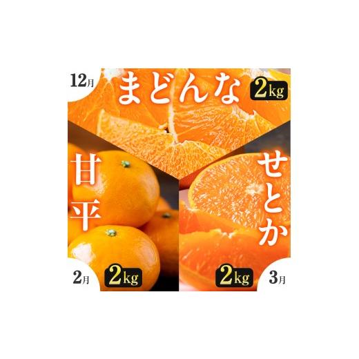 ふるさと納税 みかん・柑橘類 愛媛県 八幡浜市 発送月固定定期便 「こたつの上の冬物語」高級3品種 まどんな+甘平+せとか H49-73 全3回_みかん せとか まど…