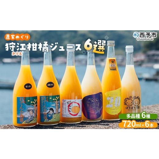 ふるさと納税 果汁飲料 みかん 愛媛県 西予市 農家めぐり 狩江柑橘ジュース 6選(多品種) 多品種 アソート 愛媛県産 飲料 ジュース 国産 みかん 蜜柑 ミカン…