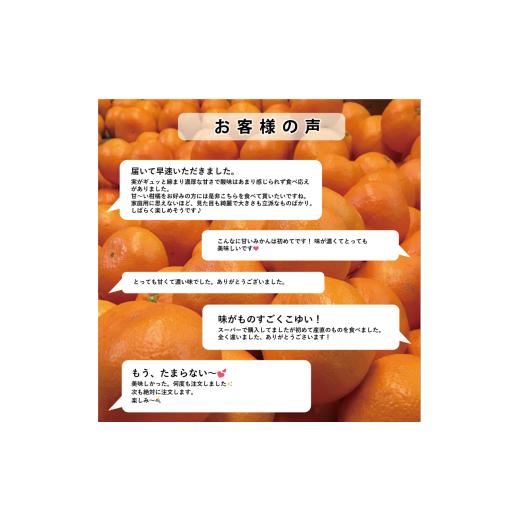ふるさと納税 果汁飲料 みかん 愛媛県 八幡浜市  SUNSET 夕やけみかん100%ジュース(12本入) H49-7 1304853 YWTZ009の画像