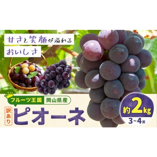 ふるさと納税 果物類 ぶどう 岡山県 浅口市 訳あり 岡山県産 ピオーネ 3-4房 約 2kg ぶどう園 AC[2026年9月中旬-11月中旬頃出荷]ピオーネ 送料無料 岡山県 …