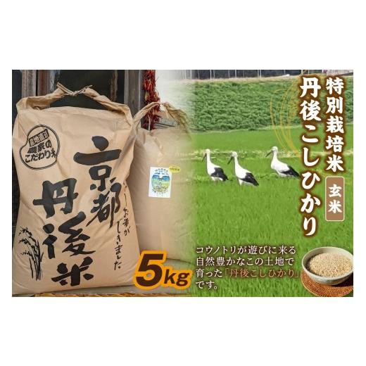 ふるさと納税 玄米 京都府 京丹後市 先行予約 令和8年産 丹後こしひかり 玄米5kg 特別栽培米 新米 お米 米 ご飯 ごはん 玄米 京都 京丹後 産地 コシヒカリ …