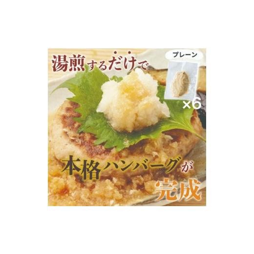 ふるさと納税 惣菜・レトルト 冷凍 沖縄県 石垣市 南ぬ豚焼成ハンバーグ 100g×6個 | 沖縄県 石垣市 石垣島 南国 アグー豚 豚 小分け 便利 簡単 湯煎 おかず