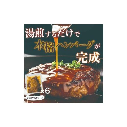 ふるさと納税 惣菜・レトルト 冷凍 沖縄県 石垣市 南ぬ豚デミグラスハンバーグ 150g×6個 | 沖縄県 石垣市 石垣島 南国 アグー豚 豚 小分け 便利 簡単 湯煎 お…