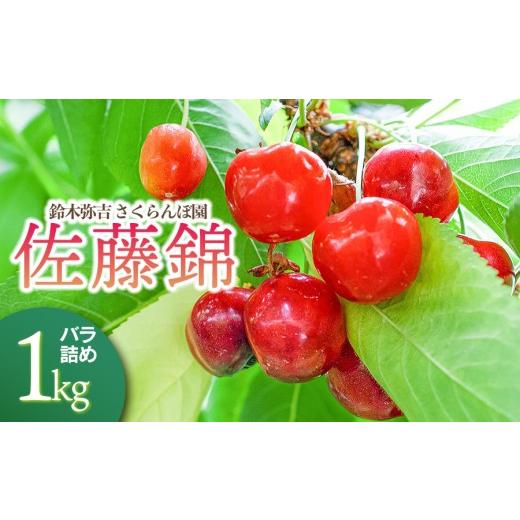 ふるさと納税 果物類 さくらんぼ 山形県 鶴岡市 令和8年産先行予約 鈴木弥吉さくらんぼ園の佐藤錦 Lサイズ バラ詰め 1kg (500g×2) 山形県鶴岡産 K-866 | …