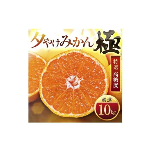 ふるさと納税 果物類 みかん 愛媛県 八幡浜市 甘みが濃縮されたみかん 愛媛で育った夕やけみかん 極 10kg G49-27 _ みかん ミカン 柑橘 オリジナル 果物 くだ…