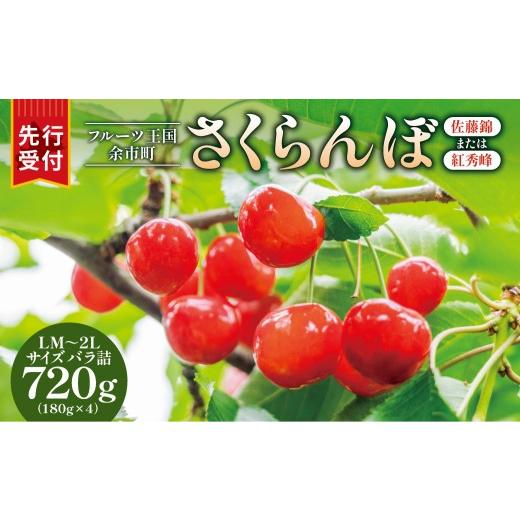 ふるさと納税 果物類 さくらんぼ 北海道 余市町 先行予約:2026年6月下旬頃より発送 令和8年産 さくらんぼ LM〜2Lバラ詰め 180g×4 余市ふるさと納税推進セン…