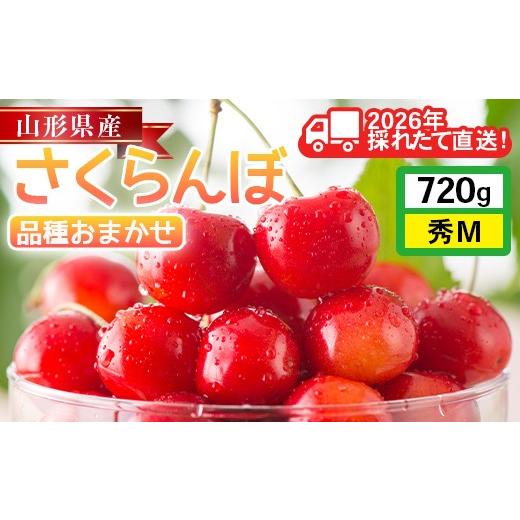 ふるさと納税 果物類 さくらんぼ 山形県 西川町 2026年先行予約 山形県産 さくらんぼ 品種おまかせ(佐藤錦・紅秀峰など) 720g(180g×4P) 秀 M以上 フードパッ…