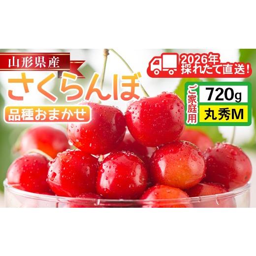 ふるさと納税 果物類 さくらんぼ 山形県 西川町 2026年先行予約 ご家庭用 山形県産 さくらんぼ 品種おまかせ(佐藤錦・紅秀峰など) 720g(180g×4P) 丸秀 M以上…