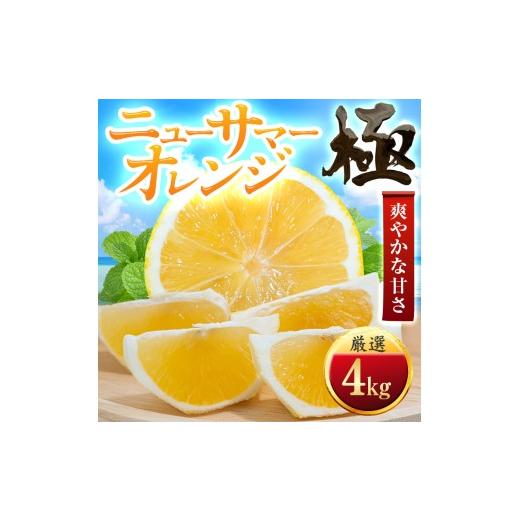 ふるさと納税 みかん・柑橘類 愛媛県 八幡浜市 太陽をたっぷり浴びた ニューサマーオレンジ 極 4kg C49-57 _みかん ミカン 柑橘 果物 くだもの フルーツ 日向…