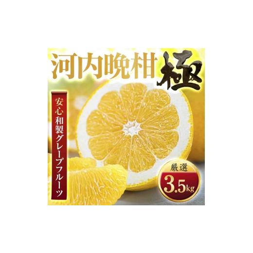 ふるさと納税 みかん・柑橘類 愛媛県 八幡浜市 太陽をたっぷり浴びた 河内晩柑 極 3.5kg C49-60 _みかん ミカン 柑橘 果物 晩柑 くだもの フルーツ 甘い 希少…