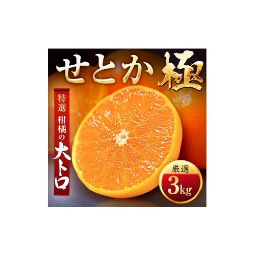 ふるさと納税 みかん・柑橘類 愛媛県 八幡浜市 「夕やけブランド」柑橘の大トロ せとか 3kg E49-67 _みかん ミカン 蜜柑 せとか 果物 くだもの フルーツ デザ…