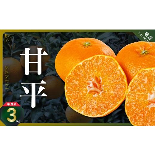 ふるさと納税 果物類 みかん 愛媛県 八幡浜市 三代目の甘平3kg C31-1 1042519 YW