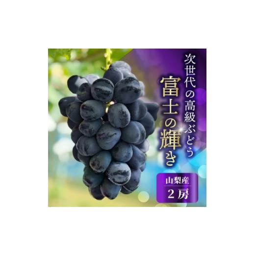 ふるさと納税 ぶどう 山梨県 山梨市 山梨市産 富士の輝き 大粒で高糖度の黒ぶどう 贈答用2房 化粧箱入り 1724543