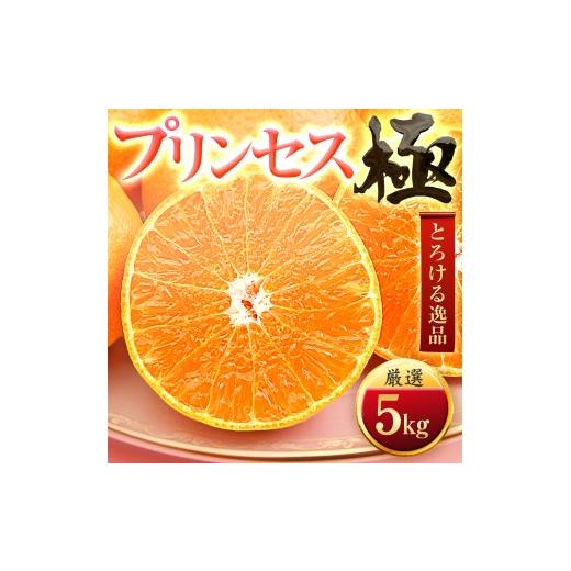 ふるさと納税 みかん・柑橘類 愛媛県 八幡浜市 「新品種 」 甘平×まどんな 愛果48号(紅プリンセスと同品種) 極 5kg H49-92 _みかん ミカン 紅プリンセスと同…