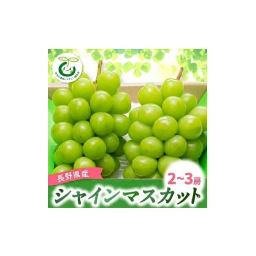 ふるさと納税 りんご 長野県 中野市 発送月固定定期便 シャインマスカット (2〜3房) サンふじ林檎10kg全2回 4082869
