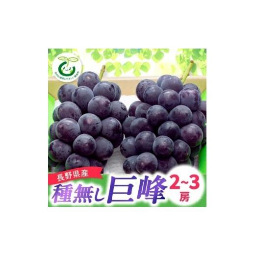 ふるさと納税 りんご 長野県 中野市 発送月固定定期便 2026年発送 長野県産 信州種無し巨峰 2〜3房+サンふじ林檎 10kg全2回 4083014