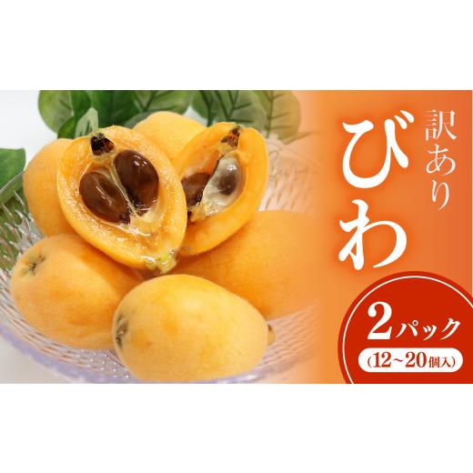 ふるさと納税 果物類 びわ 高知県 室戸市 訳あり 黒耳びわ 大小混合 12〜20玉 枇杷 ビワ フルーツ 果物 母の日 旬 果実 期間限定 初夏 季節 高知 びわ 12から2…