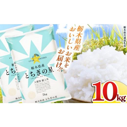ふるさと納税 米 栃木県 矢板市 栃木県産 お米 とちぎの星 10kg | 栃木県 矢板市 栃木県共通返礼品 とちぎの星 10kg | 23,600円