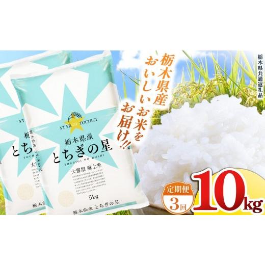 ふるさと納税 米 栃木県 矢板市 定期便3回 栃木県産 お米 とちぎの星 10kg | 栃木県 矢板市 栃木県共通返礼品 定期便3回 とちぎの星 10kg | 70,800円