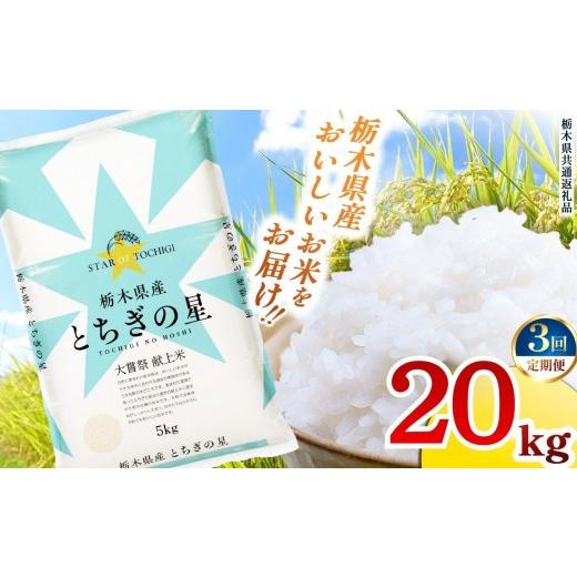 ふるさと納税 米 栃木県 矢板市 定期便3回 栃木県産 お米 とちぎの星 20kg | 栃木県 矢板市 栃木県共通返礼品 定期便3回 とちぎの星 20kg | 141,400円