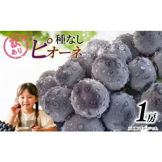 ふるさと納税 果物類 ぶどう 千葉県 銚子市 訳あり ピオーネ 種なし 1房 450g 以上 2026 年 発送分 数量限定 先行予約 葡萄 巨峰 ぶどう グレープ マスカット …