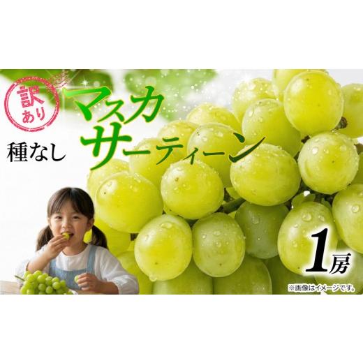 ふるさと納税 ぶどう マスカット 千葉県 銚子市 訳あり マスカット マスカサーティーン 1房 500g 以上 2026 年発送分 数量限定 先行予約 種なし 葡萄 ぶどう …