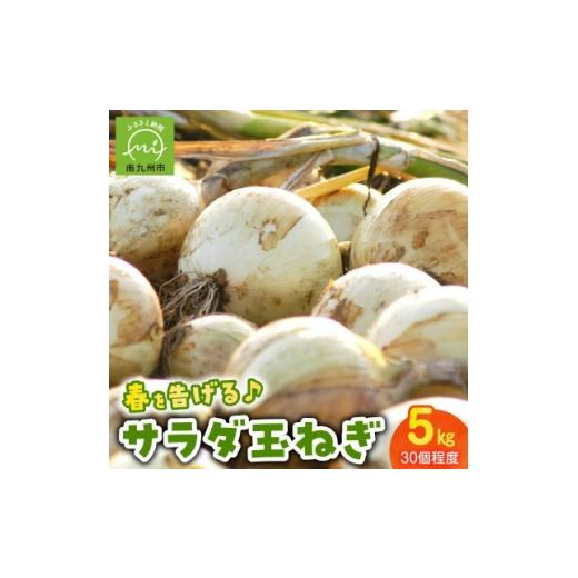 ふるさと納税 野菜類 玉ねぎ 鹿児島県 南九州市 春を告げるサラダ玉ねぎ5kg 1726404の画像
