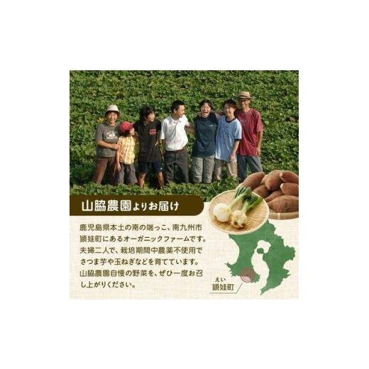 ふるさと納税 野菜類 玉ねぎ 鹿児島県 南九州市 春を告げるサラダ玉ねぎ5kg 1726404の画像