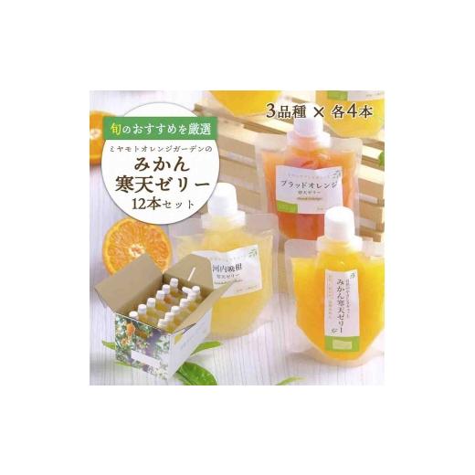 ふるさと納税 菓子 ゼリー 愛媛県 八幡浜市 愛媛の人気柑橘を厳選 旬のおすすめ みかん寒天ゼリー12本セット(3種×各4本) D25-14 _ゼリー 寒天 デザート スイ…