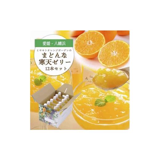 ふるさと納税 菓子 ゼリー 愛媛県 八幡浜市 愛媛限定栽培柑橘 まどんな寒天ゼリー12本セット D25-16 1255523 YW