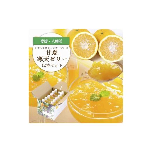 ふるさと納税 菓子 ゼリー 愛媛県 八幡浜市 ほろ苦く甘酸っぱいさわやかな味わい 愛媛産 甘夏寒天ゼリー12本セット D25-17 1255524 YW